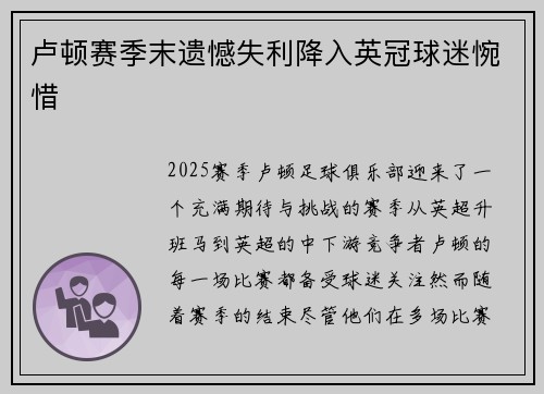 卢顿赛季末遗憾失利降入英冠球迷惋惜