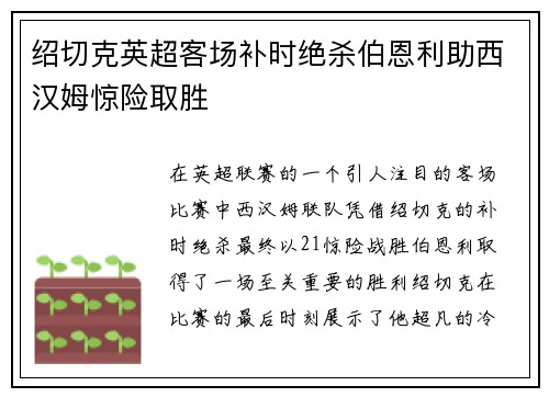 绍切克英超客场补时绝杀伯恩利助西汉姆惊险取胜